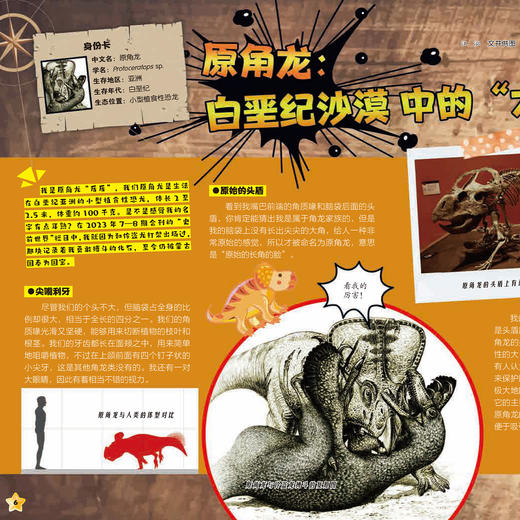 《少年科学画报》12期征订 商品图13