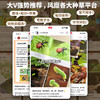 生命的故事（第五辑·全六册）昆虫科普百科 商品缩略图2