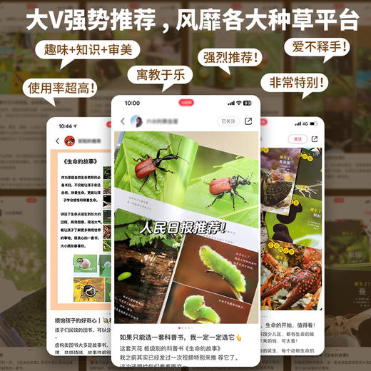 生命的故事（第五辑·全六册）昆虫科普百科 商品图2