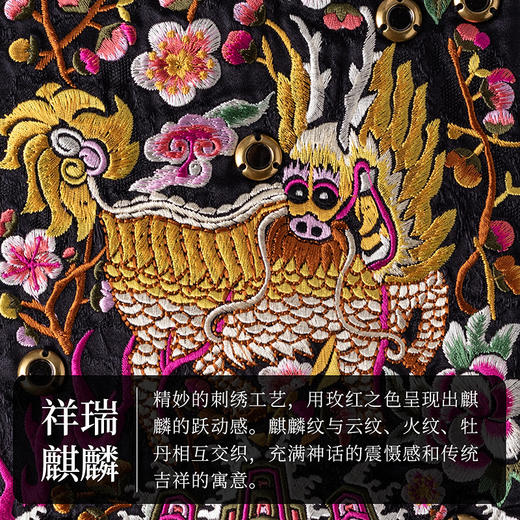 【林栖设计小店】麒麟铜镜改良马面裙国潮绣花新中式2025春季新品长裙女1951007 商品图3