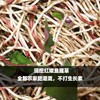 香辣鱼腥草 460g/瓶 商品缩略图4