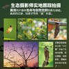 生命的故事（第五辑·全六册）昆虫科普百科 商品缩略图4