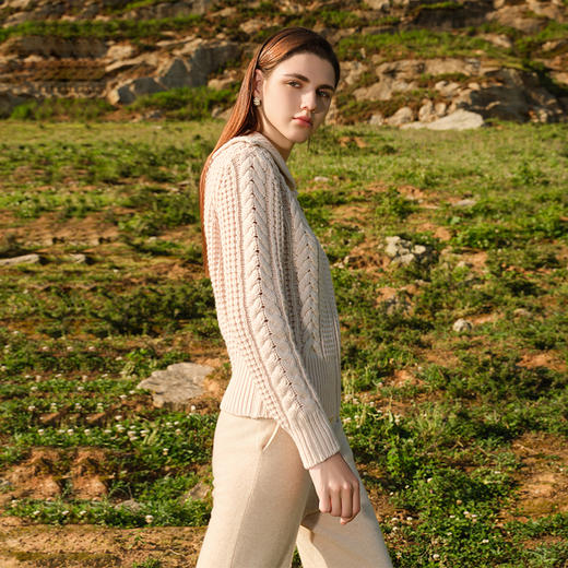 【大翻领绞花羊绒开衫】羊绒世家秋冬新品100%山羊绒粗棒针绞花毛衣外套 商品图3