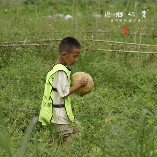 原乡农场“一米菜园”认养招募【约10㎡】 | 位于成都市郫都区园艺村，离主城区约1小时车程，有机农场水土干净，超长免租期 商品图11