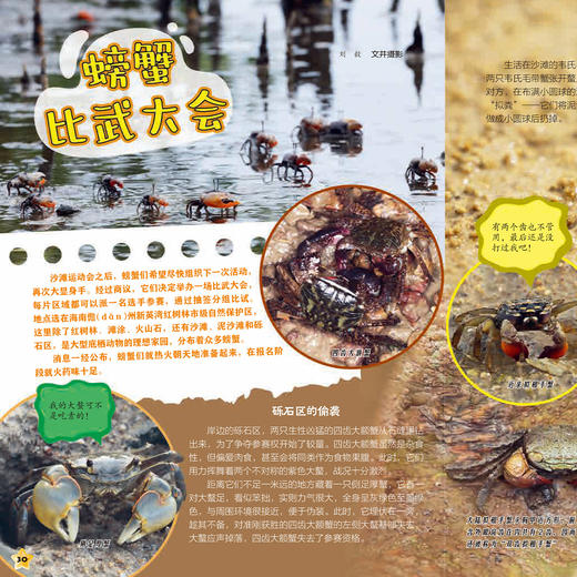 《少年科学画报》12期征订 商品图11