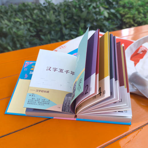 【代发】小象汉字日历2025年日历 新年书本日历 商品图6