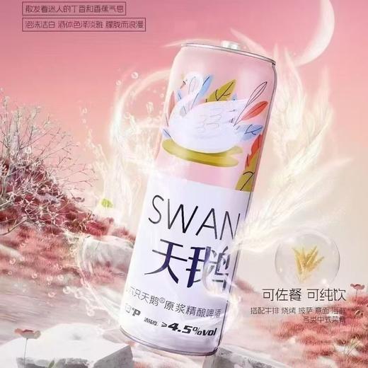 六只天鹅精酿啤酒10L 商品图0