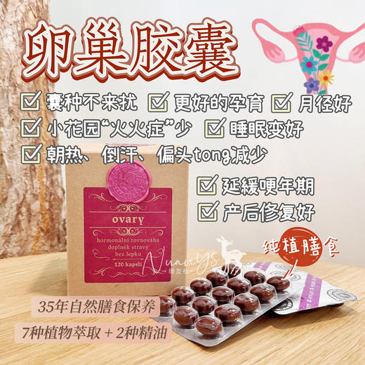 【防早衰早更 卵巢俢复 月径好 皮肤弹性紧至 女性备孕 调气色 纯植物膳食】卵巢胶囊 120粒 捷克 圣希尔德佳德 商品图1