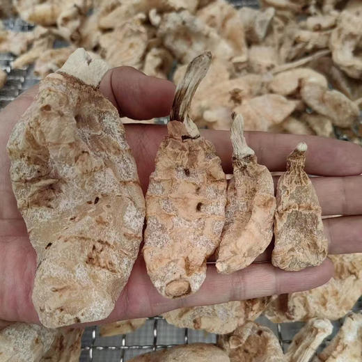 【西藏波密野生天麻】正宗西藏林芝也是天麻干货250 商品图5