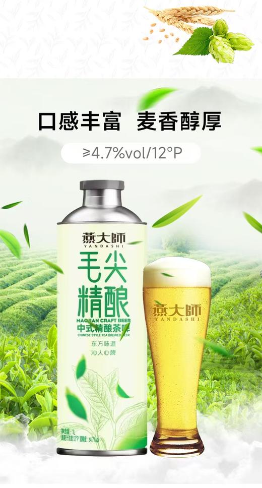 燕大师毛尖茶啤一箱 商品图2
