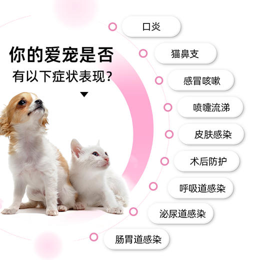 新宠之康速宇欣阿莫西林克拉维酸钾 广谱消炎药 猫鼻支 感冒咳嗽 犬猫通用 商品图5