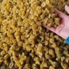 滇橄榄原味果干 250g/瓶 商品缩略图2