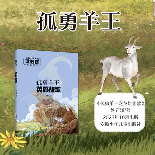 孤勇羊王之英雄悲歌 注音版 沈石溪 动物小说大王fb 安徽少年儿童出版社 商品图0