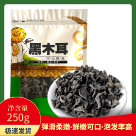 丹凤县 甄选精品黑木耳250g/袋