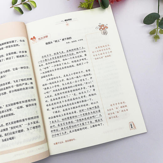 学霸都在用的作文分类金句 （全5册） 商品图4