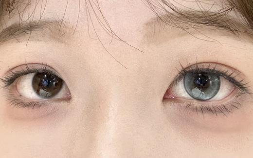 Deekay半年抛新品 · G339&G340｜14.2mm白狮参考着色中等直径｜韩国半年抛 商品图9