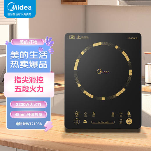 美的（Midea）美的（Midea）家用电磁炉配双锅C22-WT2103A 商品图0