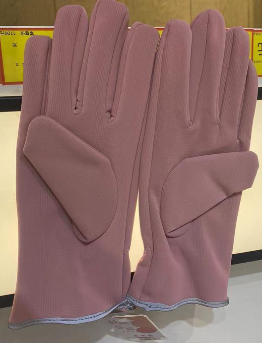 【15元会员福利】晨琪欧AA面手套   冬季滑雪触屏电动车加绒加厚（颜色随机） 商品图2