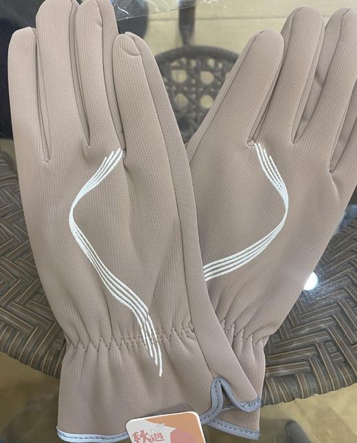 【15元会员福利】晨琪欧AA面手套   冬季滑雪触屏电动车加绒加厚（颜色随机） 商品图5