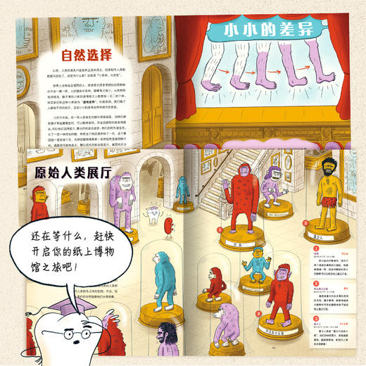 洛伦兹：人类进化博物馆（精）（7+岁） 商品图2