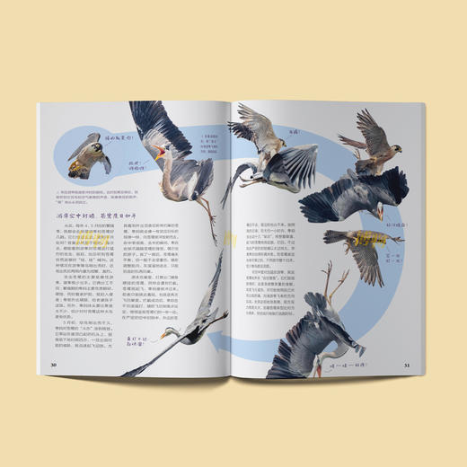 《博物》 2026年12期征订  商品图2