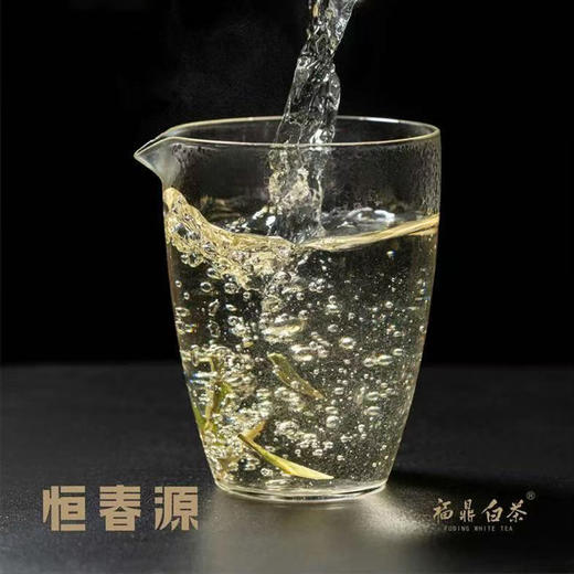 白茶 | 恒春源 2024年明前春茶 牡丹醉 白毫银针500G 加赠100g 木盒装 商品图4