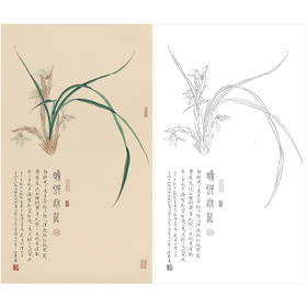 任重花鸟工笔画白描底稿《兰花》临摹勾线高清打印稿RD25
