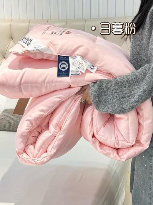 【羽绒被】 换季大清仓！保暖系数超高 又有柔软度 真的是颜值和实用性的双重优势 商品图9