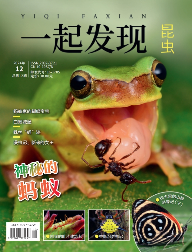 2024年《一起发现》过刊10本一次发出