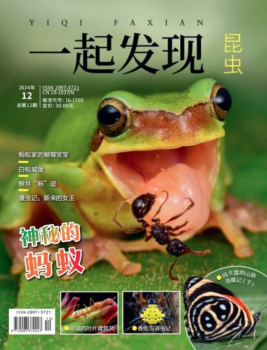 2024年《一起发现》过刊10本一次发出 商品图0