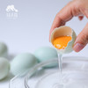 生态鸭蛋 （四川）| 合作生产 * Eco-duck egg | Partner Production 商品缩略图3