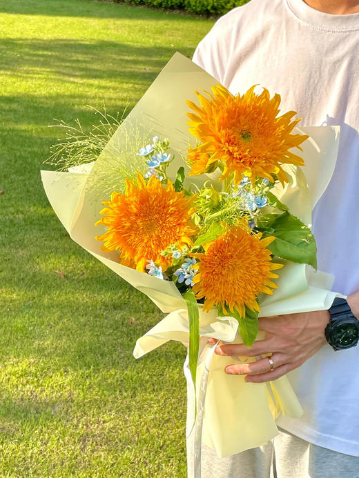 【山野花社】AB级泰迪小花向日葵3支+AB级蓝星花3支+AB级喷泉草2支 商品图3