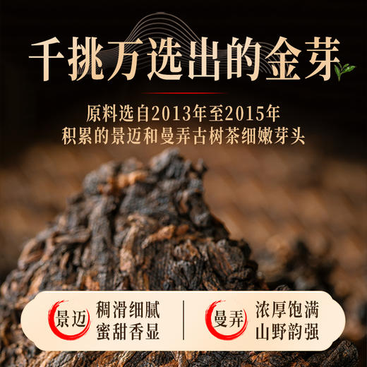 【积分当钱花】澜沧古茶2024年金古木香 云南普洱熟茶散茶罐装100g 商品图3