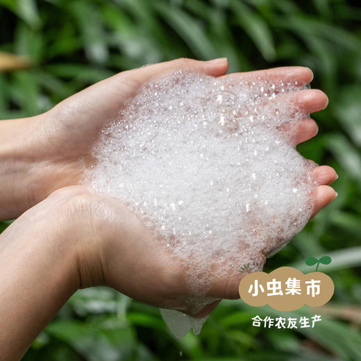 生态柠檬茶树厨用皂液 （洗碗液／洗洁液）600ml | 合作农友生产，来自广东中山五桂山，生产者：郝冠辉 ＆【公平贸易农人定价】 商品图9