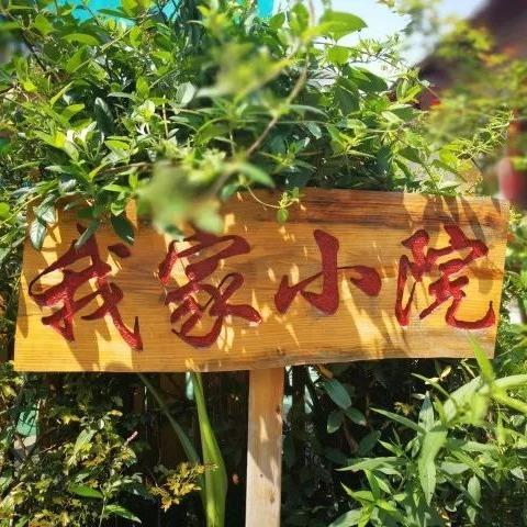 我家小院丨睡在铁溪，梦回故里 商品图1