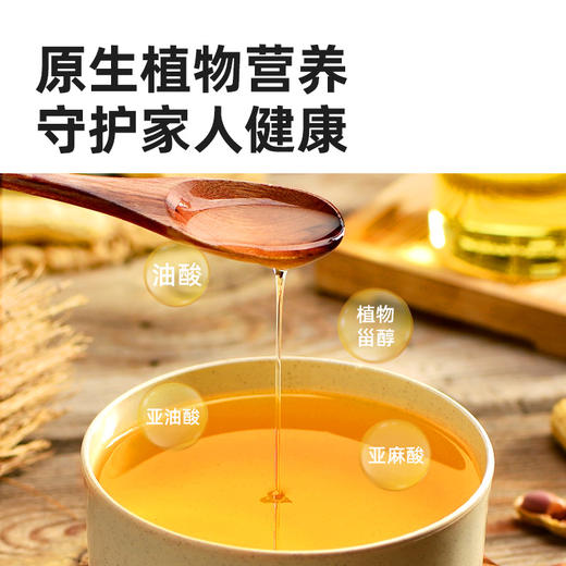 【品牌直发】海天天赐良谷特香花生油5L大豆油5L低芥酸菜籽油5L纯物理压榨不添加 商品图10