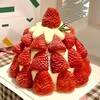 【圣诞树🎄创意草莓蛋糕】🍓🍓 商品缩略图0