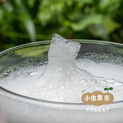 生态柠檬茶树厨用皂液 （洗碗液／洗洁液）600ml | 合作农友生产，来自广东中山五桂山，生产者：郝冠辉 ＆【公平贸易农人定价】 商品图3