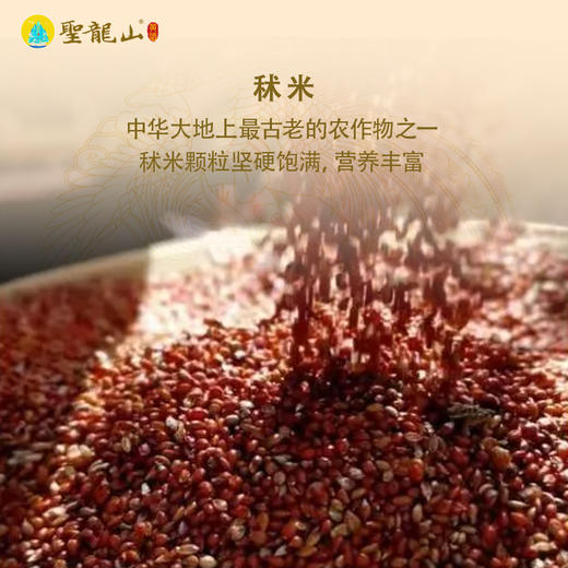 圣龙山12度秫谷黄酒纯粮食自然发酵传统美酒（500ml*6瓶/箱） 商品图2