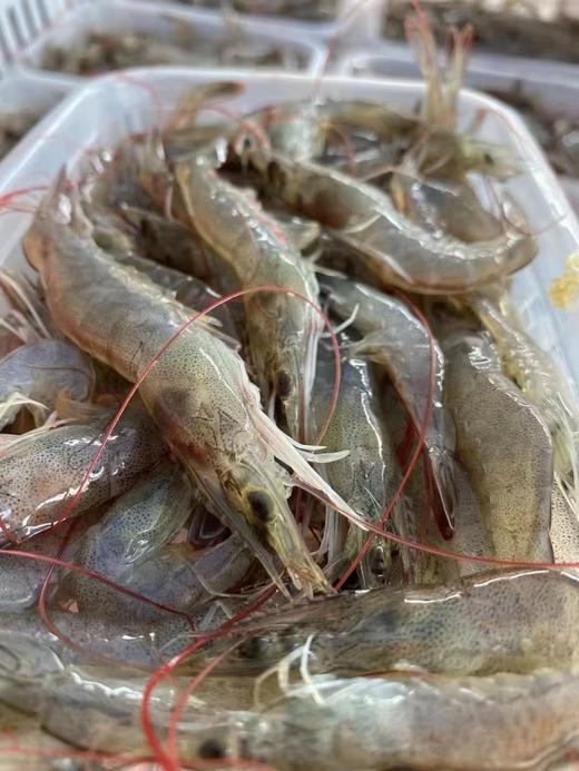 口感鲜、甜、嫩，东山岛小海虾 200g*5盒 商品图6