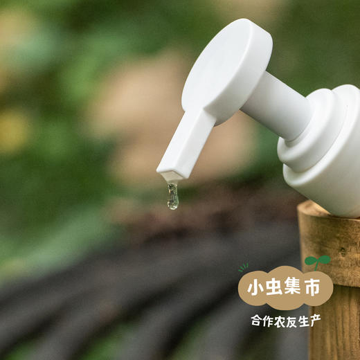 生态柠檬茶树厨用皂液 （洗碗液／洗洁液）600ml | 合作农友生产，来自广东中山五桂山，生产者：郝冠辉 ＆【公平贸易农人定价】 商品图7