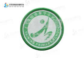 通版深圳市泰宁小学织唛校徽校服礼服布标姓名贴章可缝烫现货发51