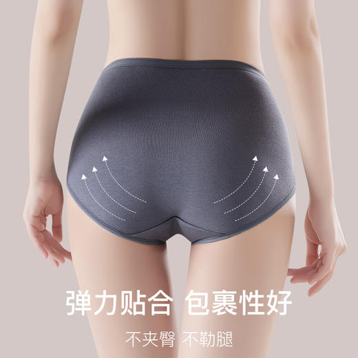 超值6条装！【柔棉暖宫收腹裤】 纯棉贴肤更柔软 高腰微压“软收腹” 小肚腩藏起来啦  弹力贴合不夹臀勒腿 撞色搭配 颜值加分++ 商品图7
