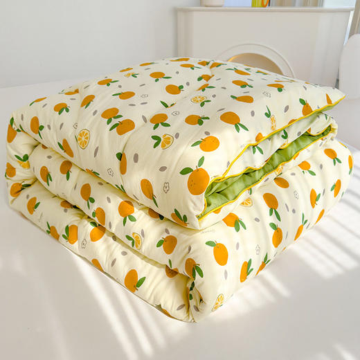 新款A类水洗棉双层纱大豆被春秋被芯冬被 商品图2
