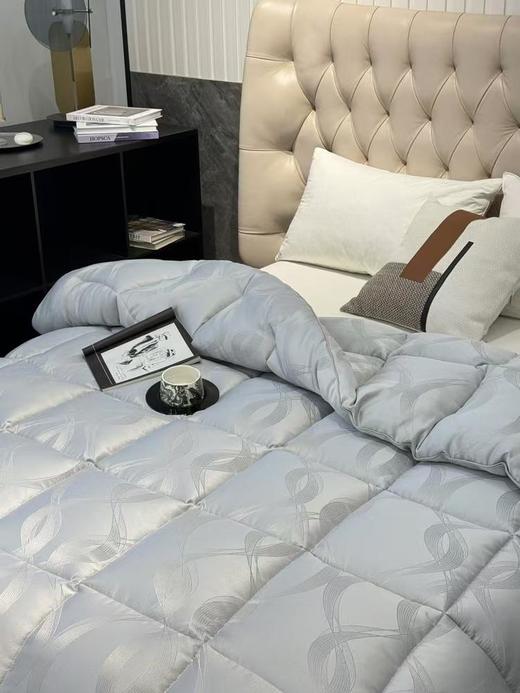 【羽绒被】 换季大清仓！保暖系数超高 又有柔软度 真的是颜值和实用性的双重优势 商品图3