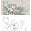 任重花鸟荷花工笔画白描底稿《秋荷》临摹勾线高清打印稿RD20 商品缩略图0