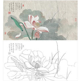 任重花鸟荷花工笔画白描底稿《秋荷》临摹勾线高清打印稿RD20