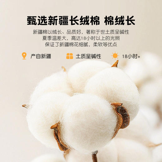 枕芯枕头深度睡眠新款酒店专用枕家用助睡眠学生宿舍单只装可机洗 商品图2