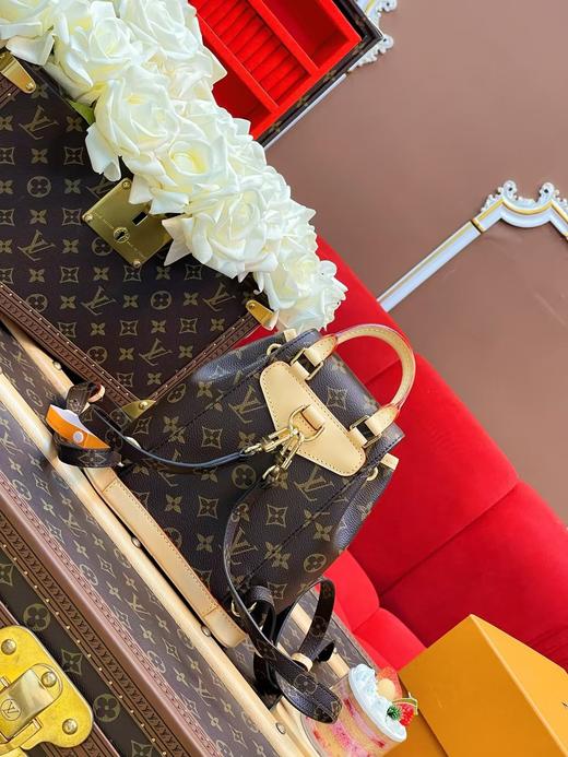 驴家 突出时尚轮廓的蒙苏里迷你背包（CB） 商品图8