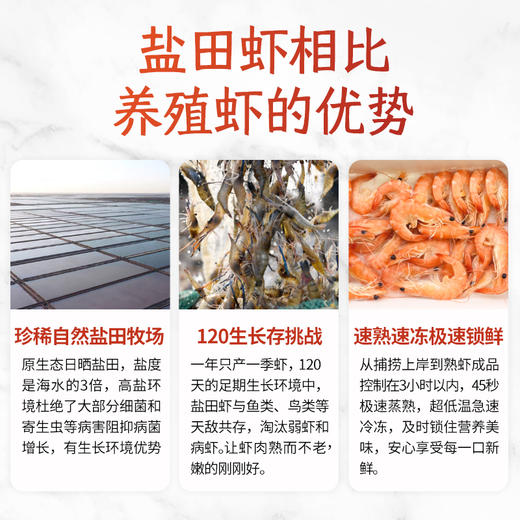 优选|曹妃甸熟冻盐田虾 肉质滑嫩  虾膏丰富  天生鲜甜 300g*2盒 商品图4